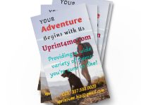 Set of (50 or 100) Business Cards